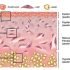 Nano Dimension kauft globale Tintenstrahlsysteme, um den elektronischen 3D-Druck zu fördern – 3DPrint.com